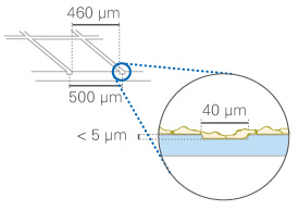 (ibidi)μ-Dish 35 mm帶計數格培養(yǎng)皿-80156 80151 81166 81161 81148 81168